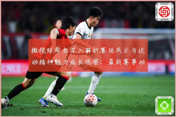 橄榄球希尔深入解析赛场风云与运动精神魅力成长观察：最新赛事动态与深度分析