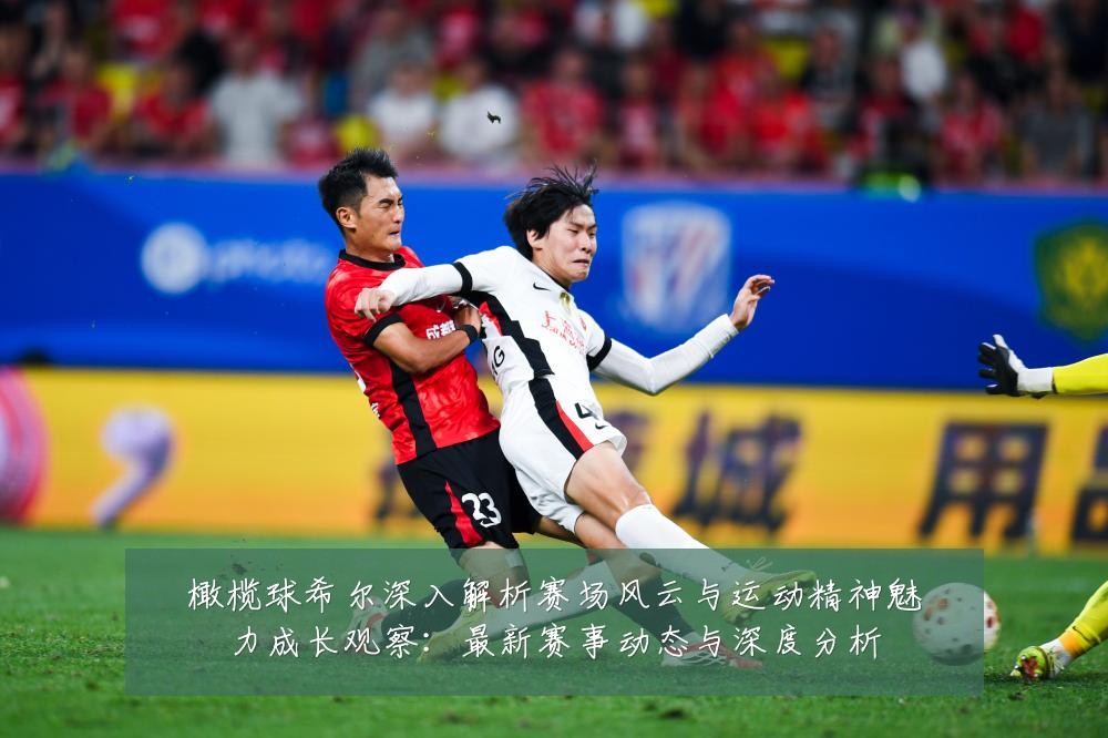 橄榄球希尔深入解析赛场风云与运动精神魅力成长观察:最新赛事动态与深度分析